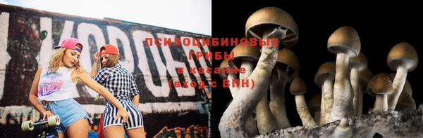 не бодяженный Медвежьегорск