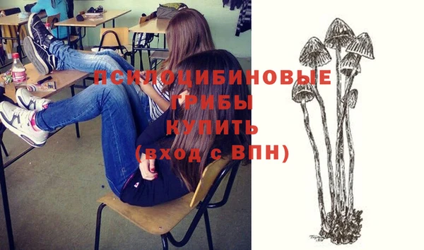 не бодяженный Медвежьегорск
