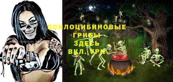 не бодяженный Медвежьегорск
