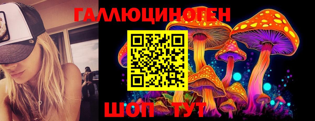 Псилоцибиновые грибы Psilocybe Арзамас